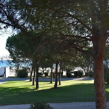 Le Byblos 9 - Vue Mer - Climatisation Plage dʼArgelès 外观 照片